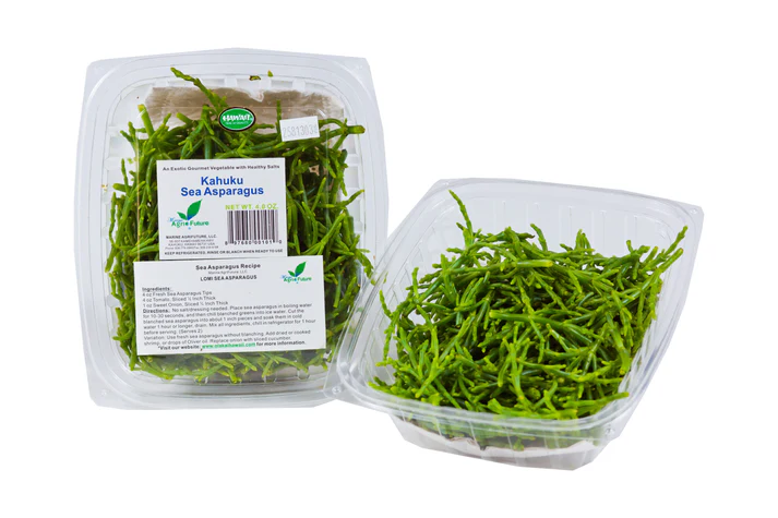 Sea Asparagus