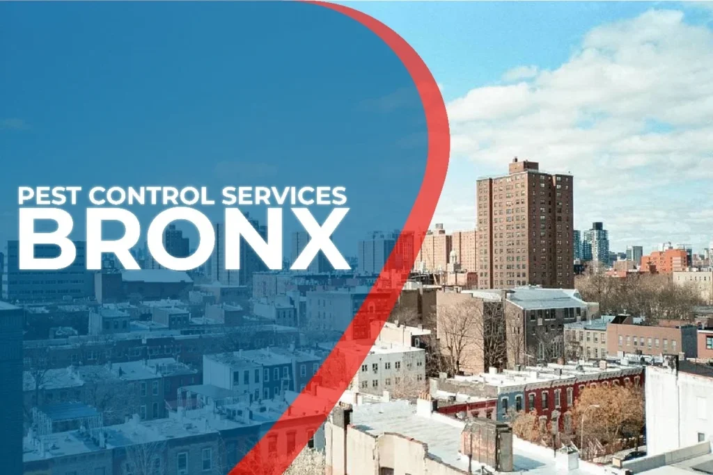 Pest Control Services